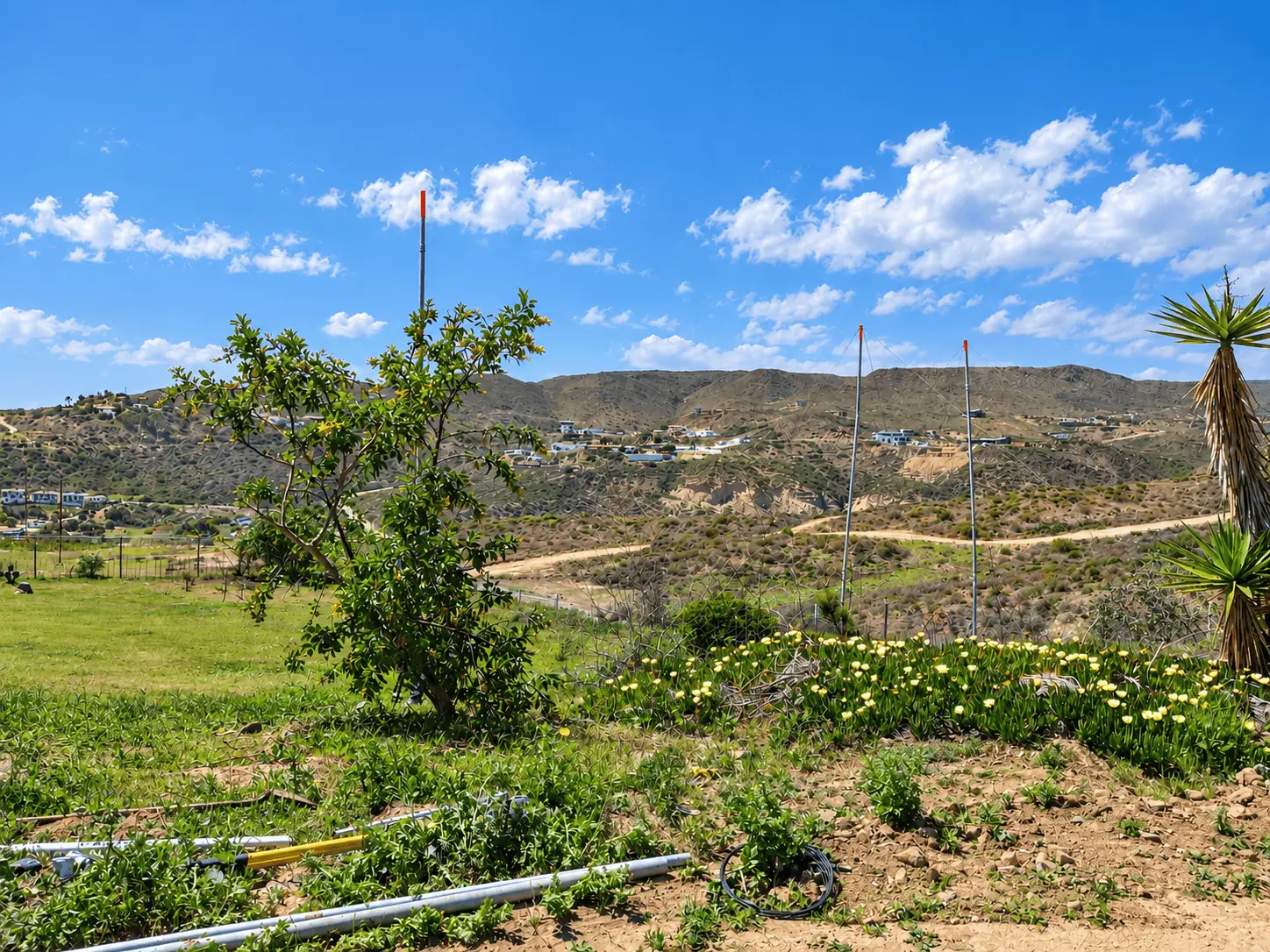 Terreno Residencial en venta en Cibolas del Mar, Ensenada, B.C.